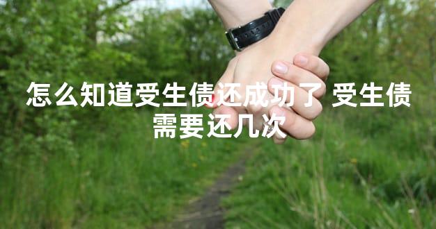 怎么知道受生债还成功了 受生债需要还几次